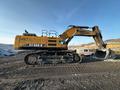SANY SY980H